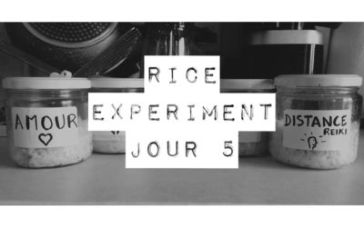 Rice Experiment – J5