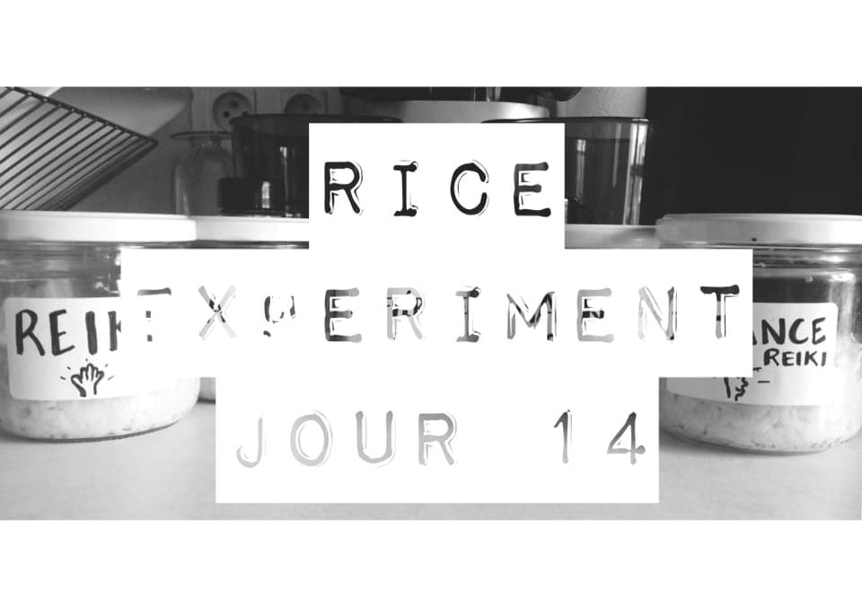 Rice Experiment J14
